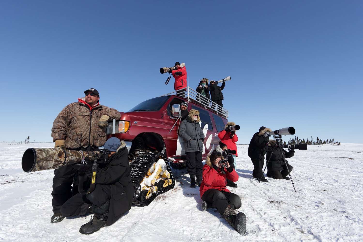 francoise gervais à la recherche d'ours